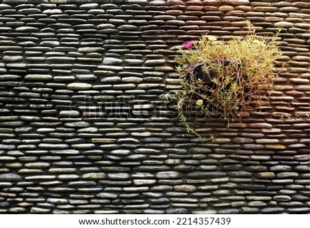 pebble stone wall with flower