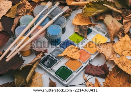 Set of watercolor paints and paintbrushes for painting closeup on the background of autumn leaves. Paints for artistic drawing