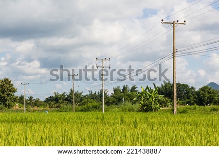 electricity post Location through the rice fields on blue sky background