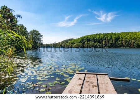 water lilies and boardwalk at Untersee or lower lake of the ville chain of lakes in the summer near cologne bruehl in North Rhine-Westphalia, germany Royalty-Free Stock Photo #2214391869