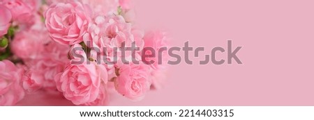 Beautiful rose. Lovely rose. Roses in tropical garden. Roses flower bouquet. Garden rose. Pink rose. Banner. Royalty-Free Stock Photo #2214403315