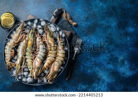 Giant Black tiger prawns shrimps on a plate with ice. Raw Seafood. Blue background. Top view. Free copy space.