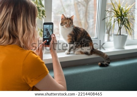 Young woman sitting on sofa taking photo of cat on window sill. Leisure time at home.