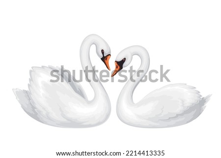Couple of swans vector illustration. Cartoon isolated two beautiful white birds swim together, cute symbol of love and romance, romantic tenderness and wedding, graceful family of swans in nature Royalty-Free Stock Photo #2214413335