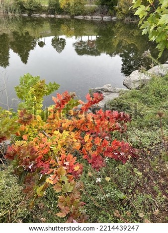 Wonderful picture of beautiful fall in Canada