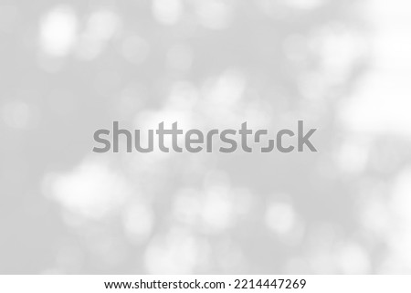 Abstract blur white and silver background with soft shimmer for display,White bokeh, abstract background