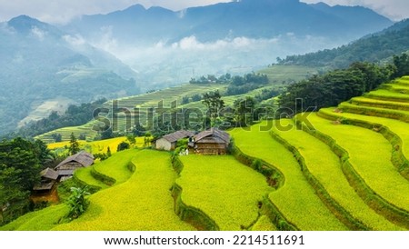 The majestic terraced fields in Ha Giang province, Vietnam. Rice fields ready to be harvested in Northwest Vietnam. Royalty-Free Stock Photo #2214511691