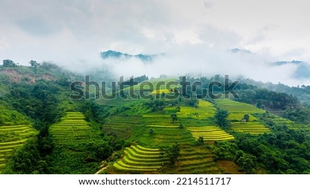 The majestic terraced fields in Ha Giang province, Vietnam. Rice fields ready to be harvested in Northwest Vietnam. Royalty-Free Stock Photo #2214511717
