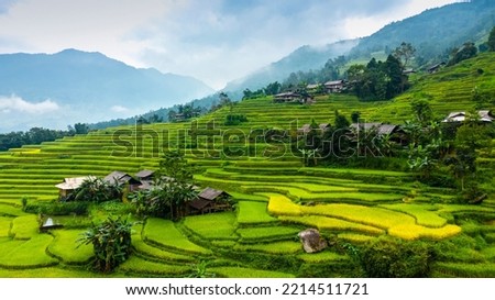 The majestic terraced fields in Ha Giang province, Vietnam. Rice fields ready to be harvested in Northwest Vietnam. Royalty-Free Stock Photo #2214511721