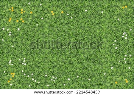 Summer field with grass and flowers. Top view. Abstract green grass texture with white and yellow flowers. View from above.