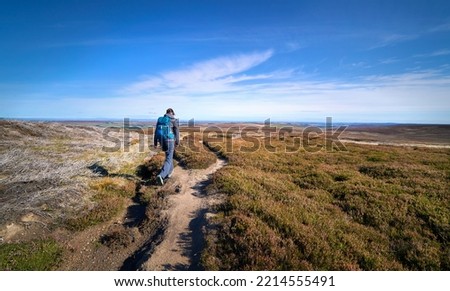 A female hiker walking in the remote heather moors below Bolt's Law near Blanchland in Northumberland near the County Durham border in England, UK. Royalty-Free Stock Photo #2214555491