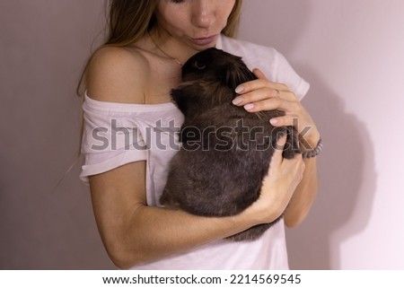 Close-up girl with adorable rabbit indoors, close up with copy space - Lovely pet and animal concept