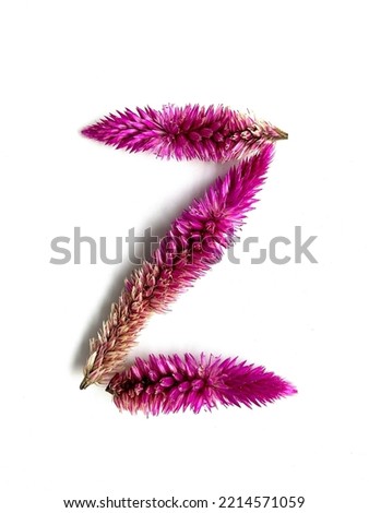 Z from flowers on a white background