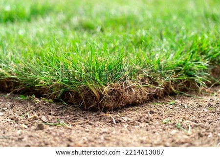 Corner edge of newly laid turf grass at the landscaping site. Straigh line of new freshly installed green rolled lawn grass Royalty-Free Stock Photo #2214613087