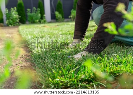View of unrecognizable gardener fixing sod on field of backyard. Worker laying roll lawn in the garden. Royalty-Free Stock Photo #2214613135