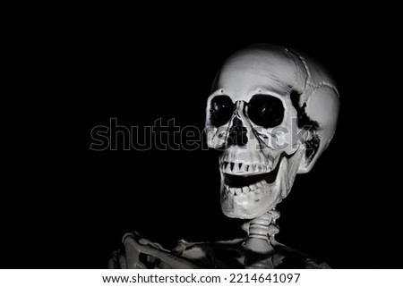 Skeleton portrait on black background