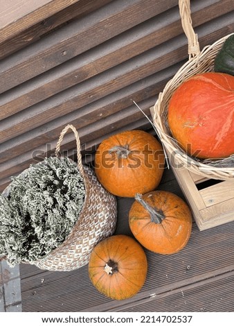 Orange, white and green pumpkins