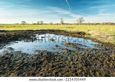 Water and mud in the meadow, the horizon and clouds on the blue sky Royalty-Free Stock Photo #2214705449