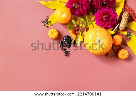 Creative halloween concept backdrop. Halloween background with candles, pumpkins, purple flowers, autumn leaves. View from above. Copy space.