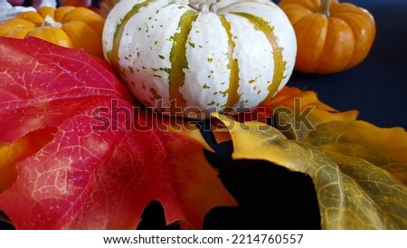 Two pumpkins in the background and leaves in  the foreground. Good for Halloween and Thanksgiving. 