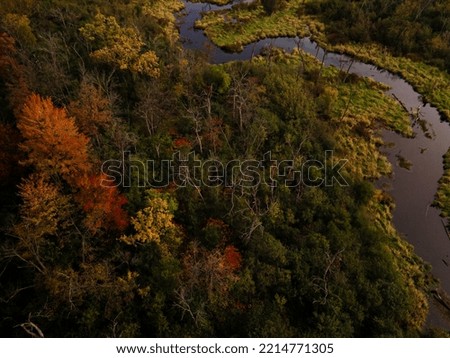 Aerial picture of dark fall woods by river