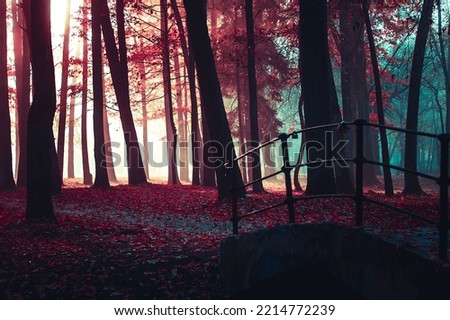 Mysterious road. Fairy Forest. Mystical atmosphere. Paranormal another world. Stranger forest in a fog. Dark scary park with red leaves. Background for wallpaper. Noir atmosphere. Horrible dream.