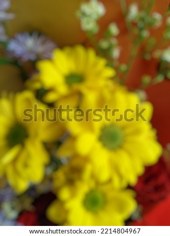 defocused abstract background of yellow flowers 