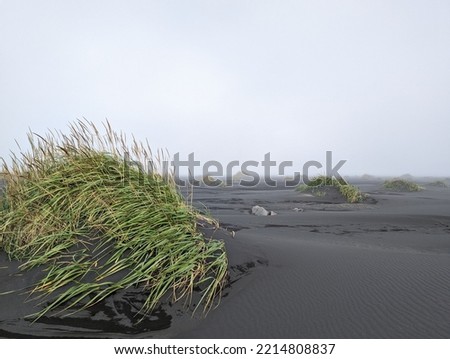 Black sand dunes on beach in Stokksnes, Iceland Royalty-Free Stock Photo #2214808837