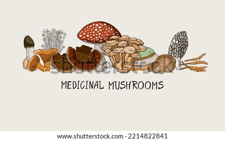 Banner with medicinal mushrooms, lettering isolated on beige. Background with symbols of folk medicine for posters, social media. Postcard with plants for phytotherapy. Cartoon vector illustration. Royalty-Free Stock Photo #2214822841