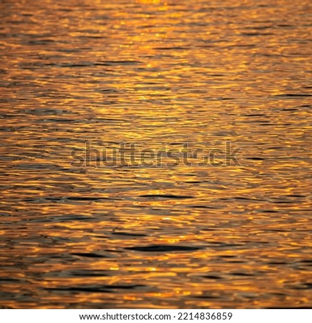 Golden expanse of water at sunset. Background