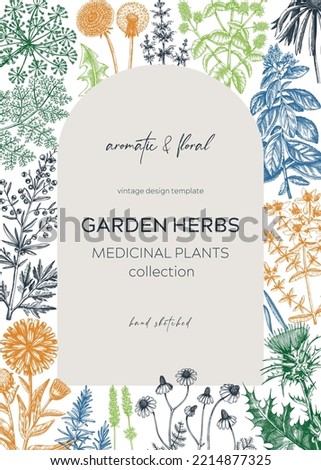 Vintage herbs card design. Sketched aromatic plants frame in color. Botanical design. Herbal tea ingredients. Hand drawn medicinal herbs cover, invitation, banners, stickers, label, packaging.  Royalty-Free Stock Photo #2214877325