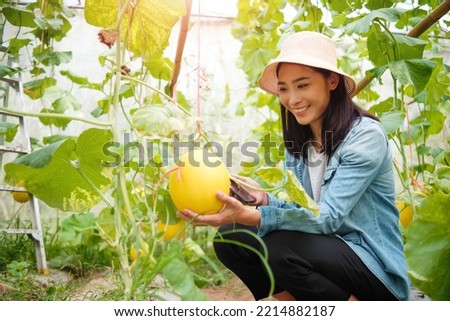 Asian woman happy smiling farmer farming nurturing melon in greenhouse biome, botanist using tablet analyzing studying recording science data of melon fruit plant water nutrition growth breeding. Royalty-Free Stock Photo #2214882187