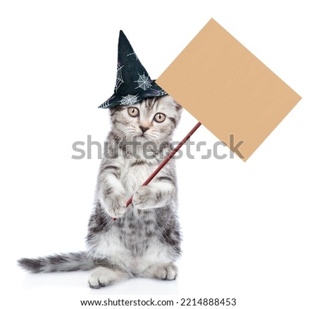 Cute kitten wearing hat for halloween standing on hind legs and showing empty placard. isolated on white background