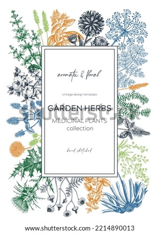 Vintage herb card or invitation. Aromatic plants botanical design. Herbal tea ingredients. Hand-drawn garden herbs for cosmetics, perfumery, and herbal medicine. Floral wreath template. Meadows banner Royalty-Free Stock Photo #2214890013