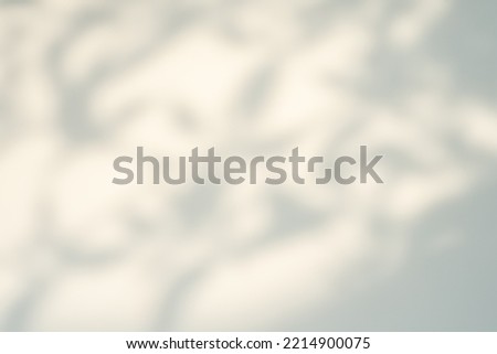abstract photo and texture shadow blur on white background