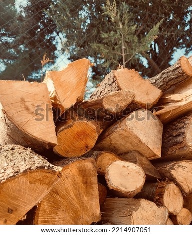 Pile of firewood. Piles of wood with forest background.