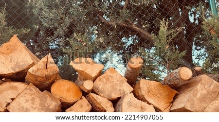Pile of firewood. Piles of wood with forest background.
