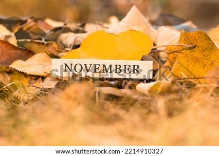 Letters November on a wooden board on the background of fallen leaves, close up. The onset of autumn. Autumn concept