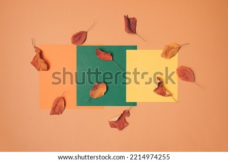 Colorful autumn flat lay idea decorated with fall leaves on orange, green and yellow background. Minimal October vibe. Creative autumn season concept. 