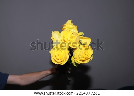 beautiful yellow roses on a gray background