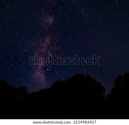 Milky Way just above silhouetted trees near Raeford North Carolina