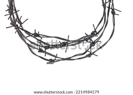 Barbed wire on a white background, isolated white background.