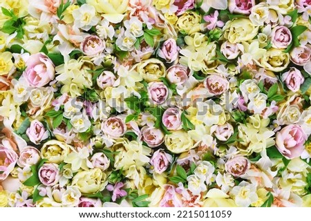 Blossoming white and light yellow daffodils, pink tulips, green leaves and spring flowers festive background, bright springtime bouquet floral card, flowerwall image