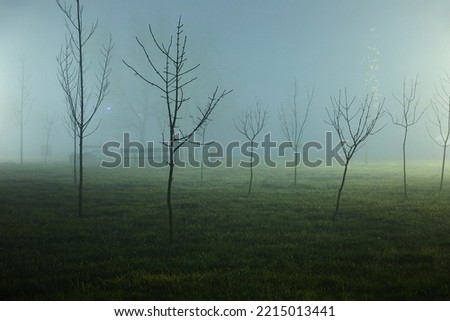 Foggy park at night with distant lamps, misty chill in the air