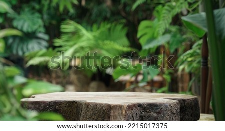 Table top wood counter floor podium in nature outdoors tropical forest garden blurred green jungle plant background.natural product present placement pedestal stand display,spring or summer concept. Royalty-Free Stock Photo #2215017375