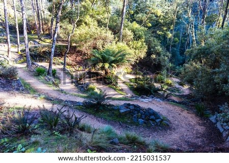 DERBY, AUSTRALIA - SEPTEMBER 25, 2022: The popular and iconic Blue Derby mountain bike trail network during springtime in Derby, Tasmania, Australia