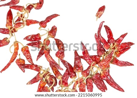 Bounded chili peppers isolated on white