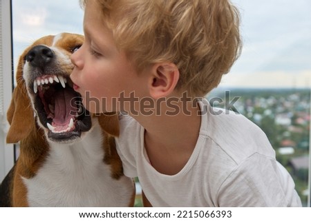 Cute little boy tries to kiss the dog on the nose, the dog growls and grinds his teeth. Disgruntled dog turns away from a child's kisses Royalty-Free Stock Photo #2215066393