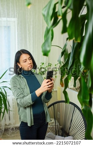 Woman with smartphone taking photo of the leaf diseases Dracaena palm at home, taking care of houseplants, damaged leave, Treatment search in houseplant mobile application