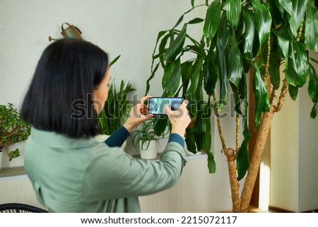Woman with smartphone taking photo of the leaf diseases Dracaena palm at home, taking care of houseplants, damaged leave, Treatment search in houseplant mobile application